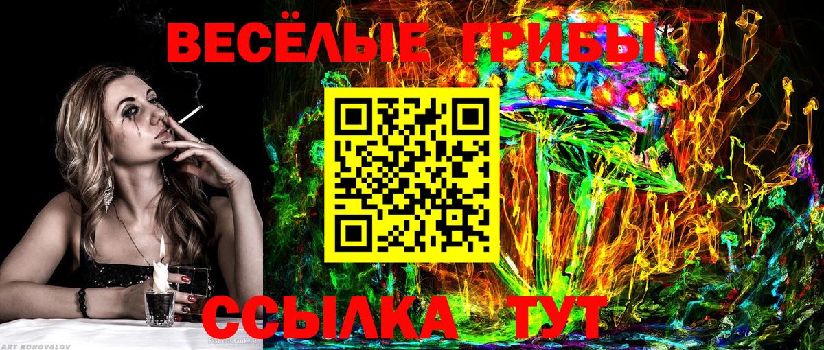 Псилоцибиновые грибы Psilocybine cubensis  Псилоцибиновые грибы GOLDEN TEACHER  Вход с VPN  Смоленск 