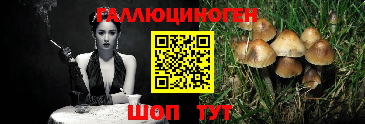 Псилоцибиновые грибы Magic Shrooms Смоленск